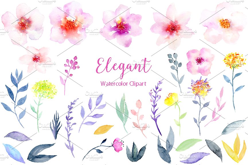 水彩花卉精品图案素材 Watercolor Flower Clipart Elegant插图(1)