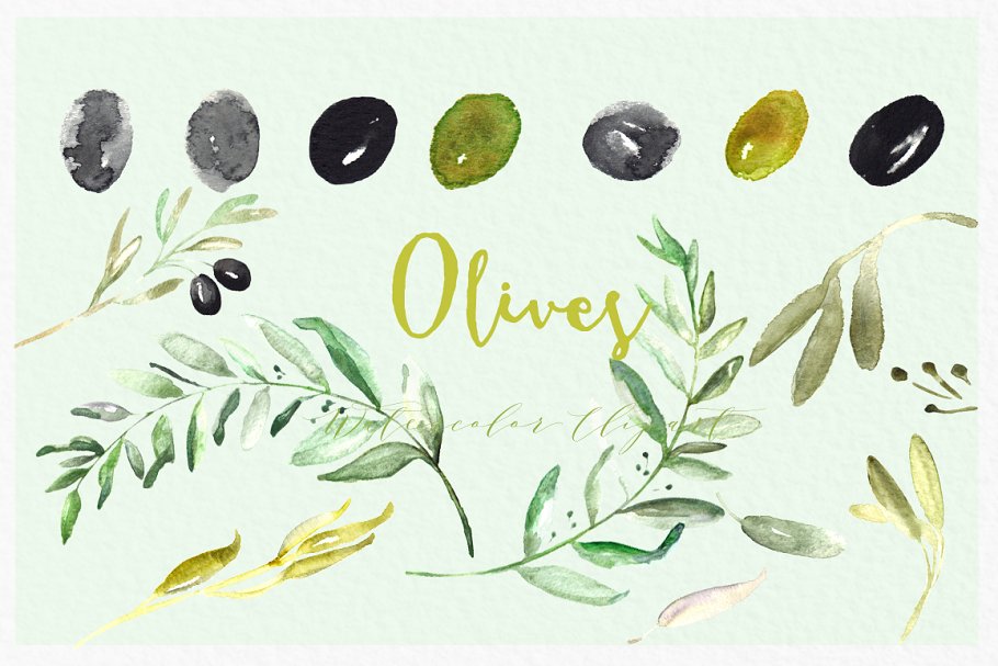 橄榄枝水彩剪贴画 Olives. Watercolor illustrations插图(2)