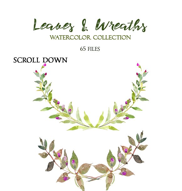 树叶花圈水彩套装 Leaves and Wreaths Watercolor Set插图(6)