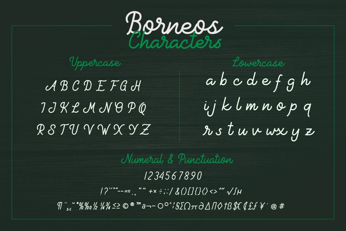 Monoline手写风格英文字体下载 Borneos – Monoline Handwriting插图(4)