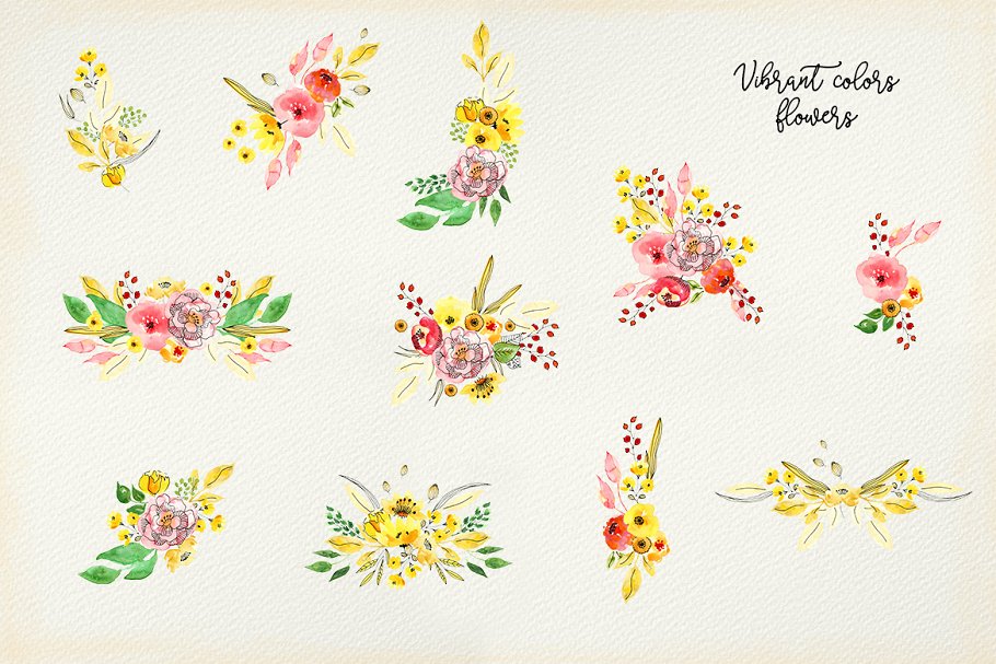 手工制作的水彩花朵花卉  Vibrant Colors Flowers插图(4)