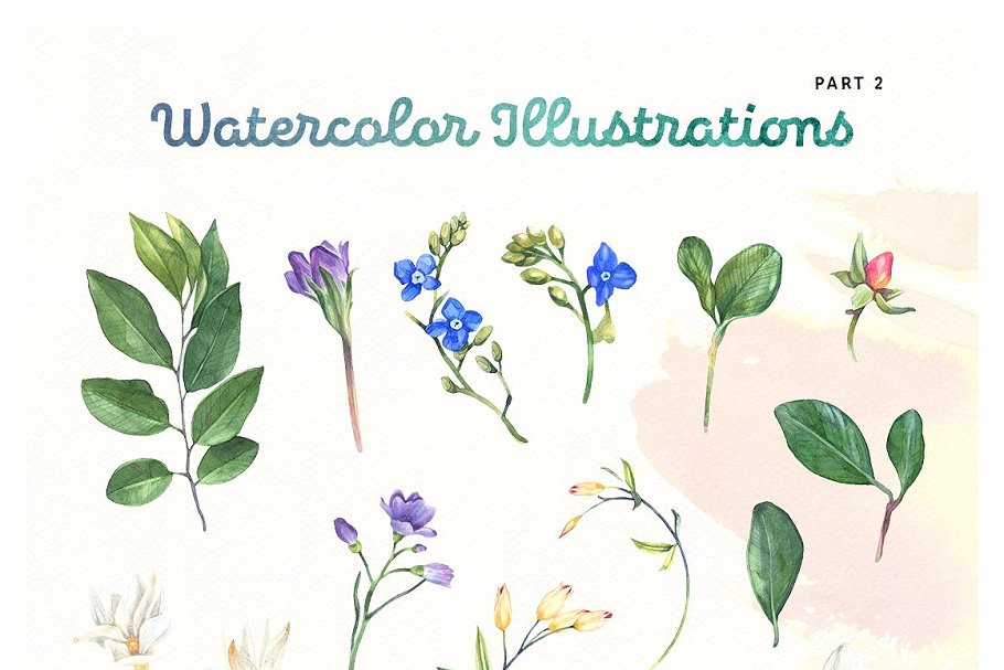 夏日水彩植物动物矢量图形+水彩花卉纹理 Summer Watercolor Motives Set插图(2)