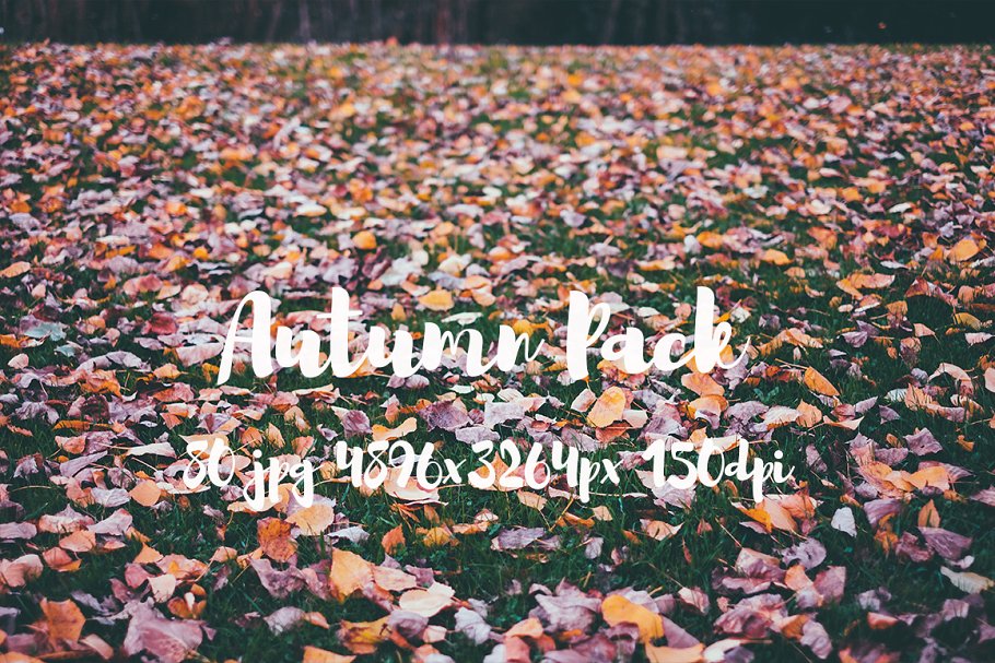 秋天主题高清风景照片素材 Autumn photo Pack插图(10)