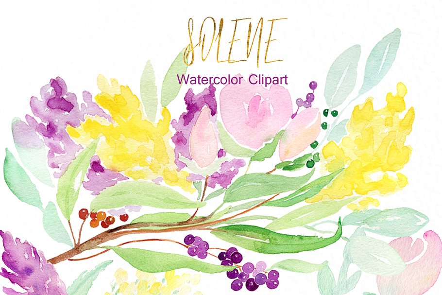 精致柔和的水彩花卉剪贴画合集 Soft pinkWatercolor flowers插图(2)