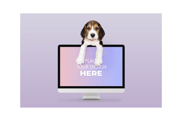 宠物主题网站设计演示电脑样机模板 Dog with Computer Mockup插图(2)