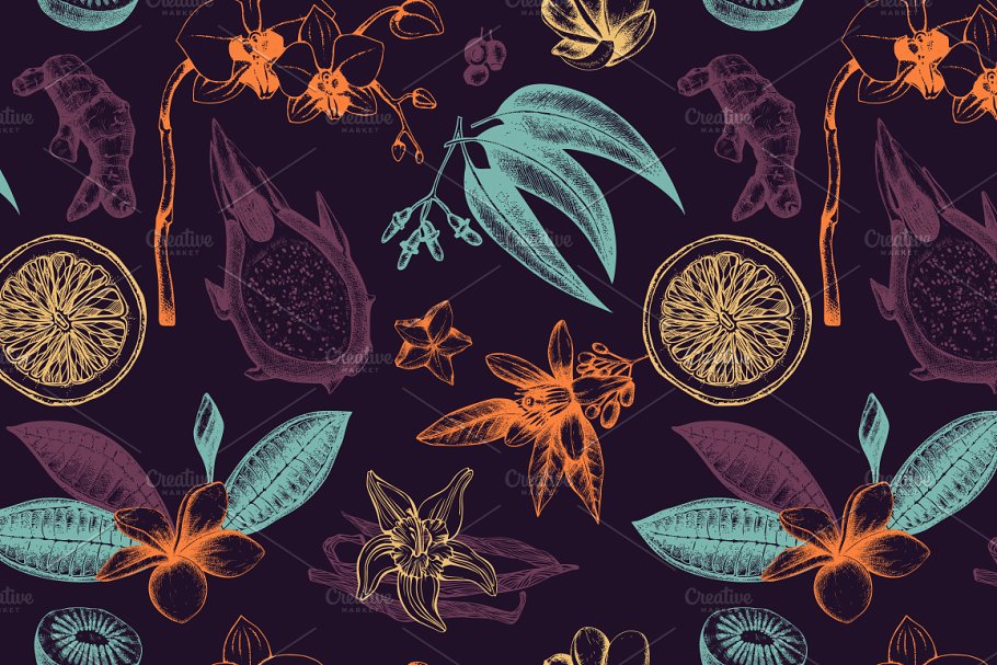 热带植物和花卉矢量图形 Vector Tropical Plants & Flowers插图(1)