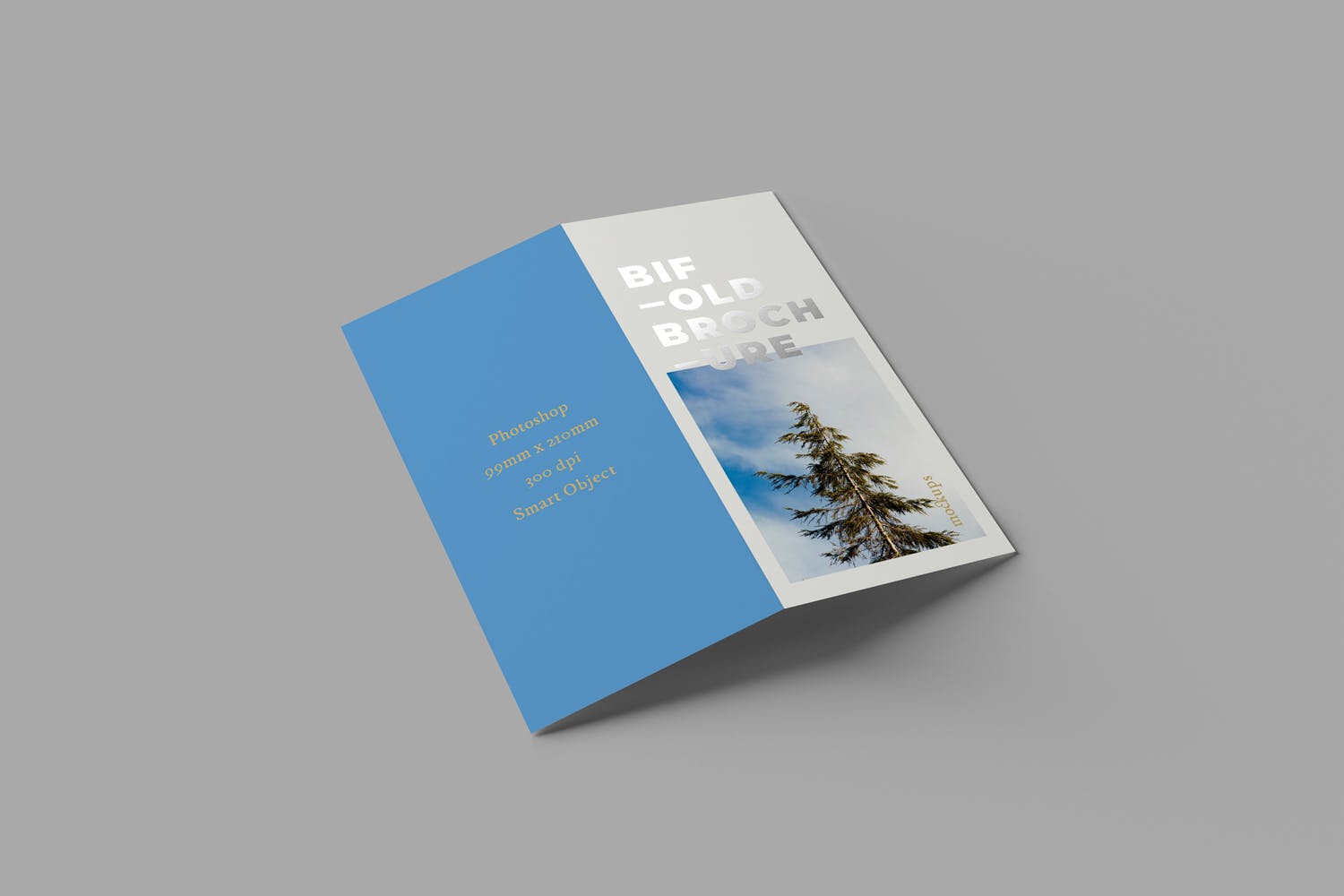 优雅设计风格折页宣传册设计图样机模板 Bifold DL Brochure Mockups插图(4)