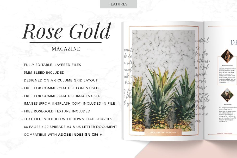 玫瑰金排版风格杂志模板 ROSE GOLD | Magazine插图(1)