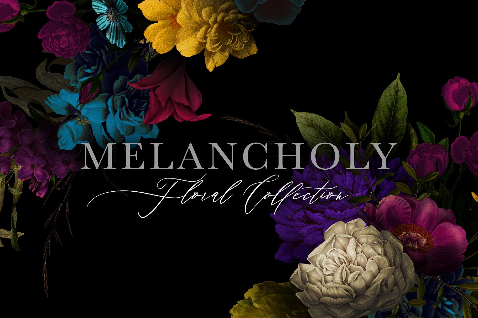忧郁格调花卉插画合集 Melancholy Floral Collection插图(2)