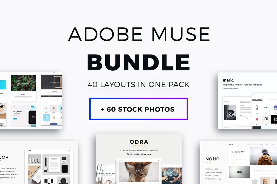 40+超级网站模板[for Adobe Muse] Adobe Muse Bundle – 40+ Templates插图
