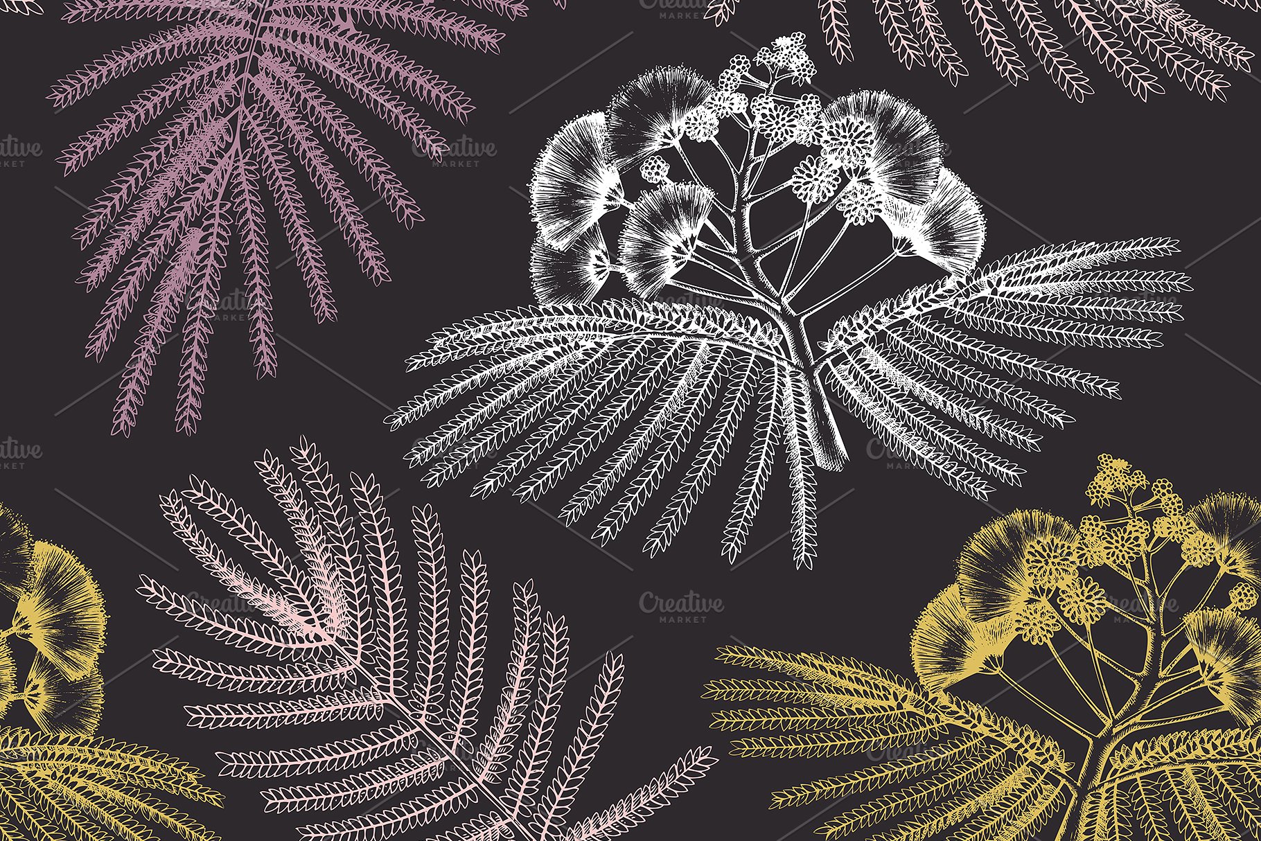 豆科植物和灌木手绘素描插画素材 Legumes Trees in Flowers Set插图(4)