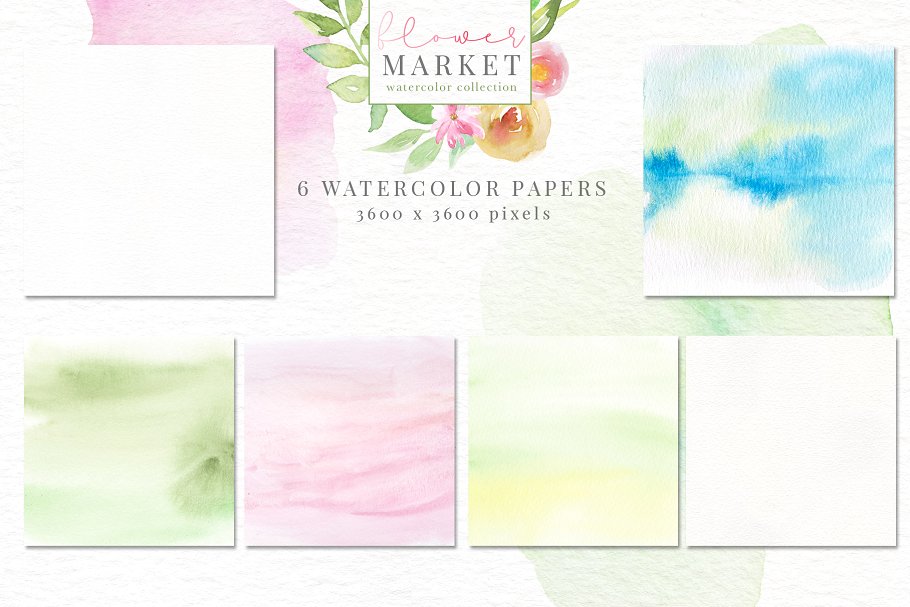 花卉市场水彩素材收藏[1.15GB] Flower Market Watercolor Collection插图(23)