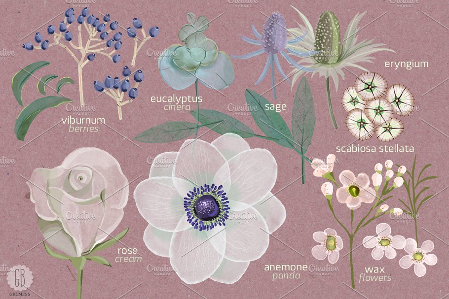淡雅水彩海葵花束插画艺术素材 Watercolor florist bouquet anemone插图(4)