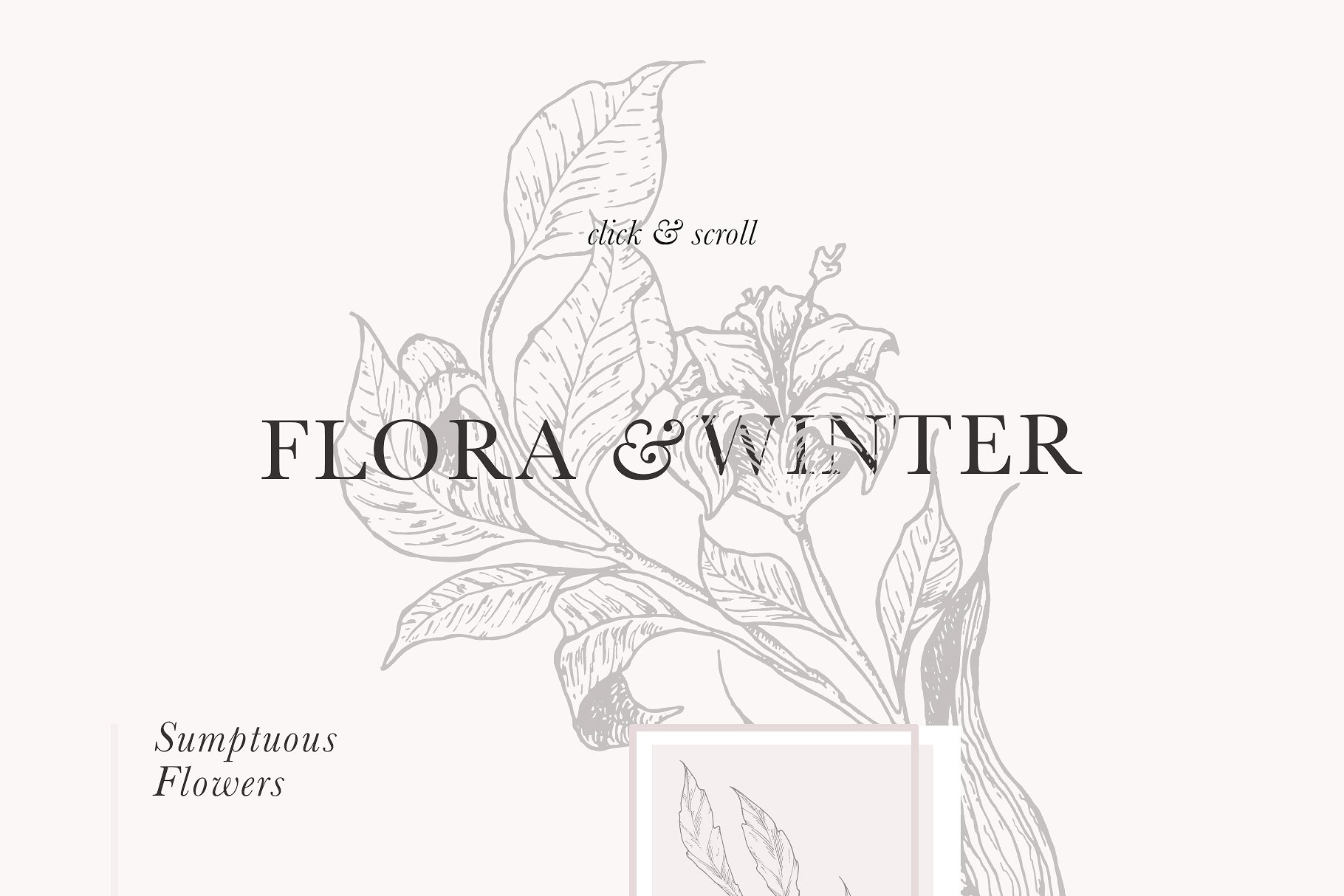 超高清分辨率花卉图案与插图 Floral Patterns & Illustrations [2.19GB]插图(6)