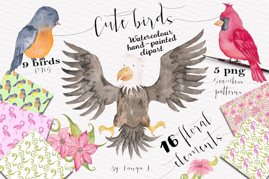 可爱鸟类小鸟水彩剪贴画 Cute Birds Watercolor Set插图