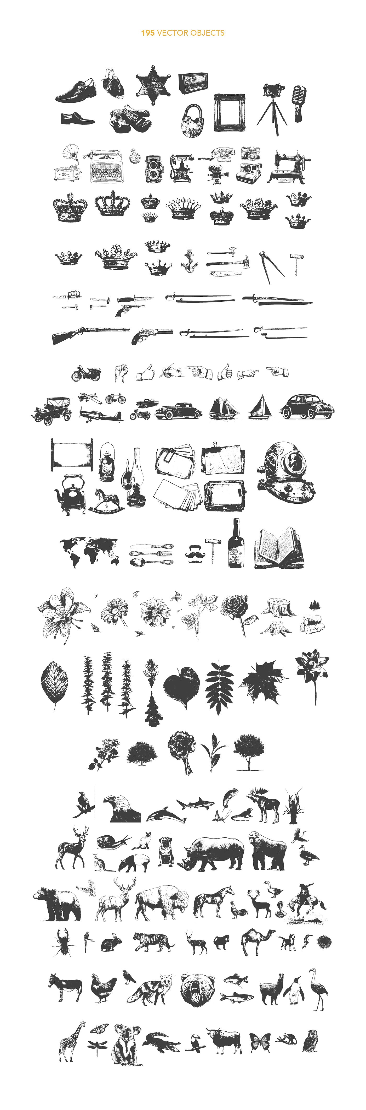设计素材盛宴：98款字体+520个独立矢量图形+270款花卉元素 FontGrap – Font & Graphic Bundle插图(5)