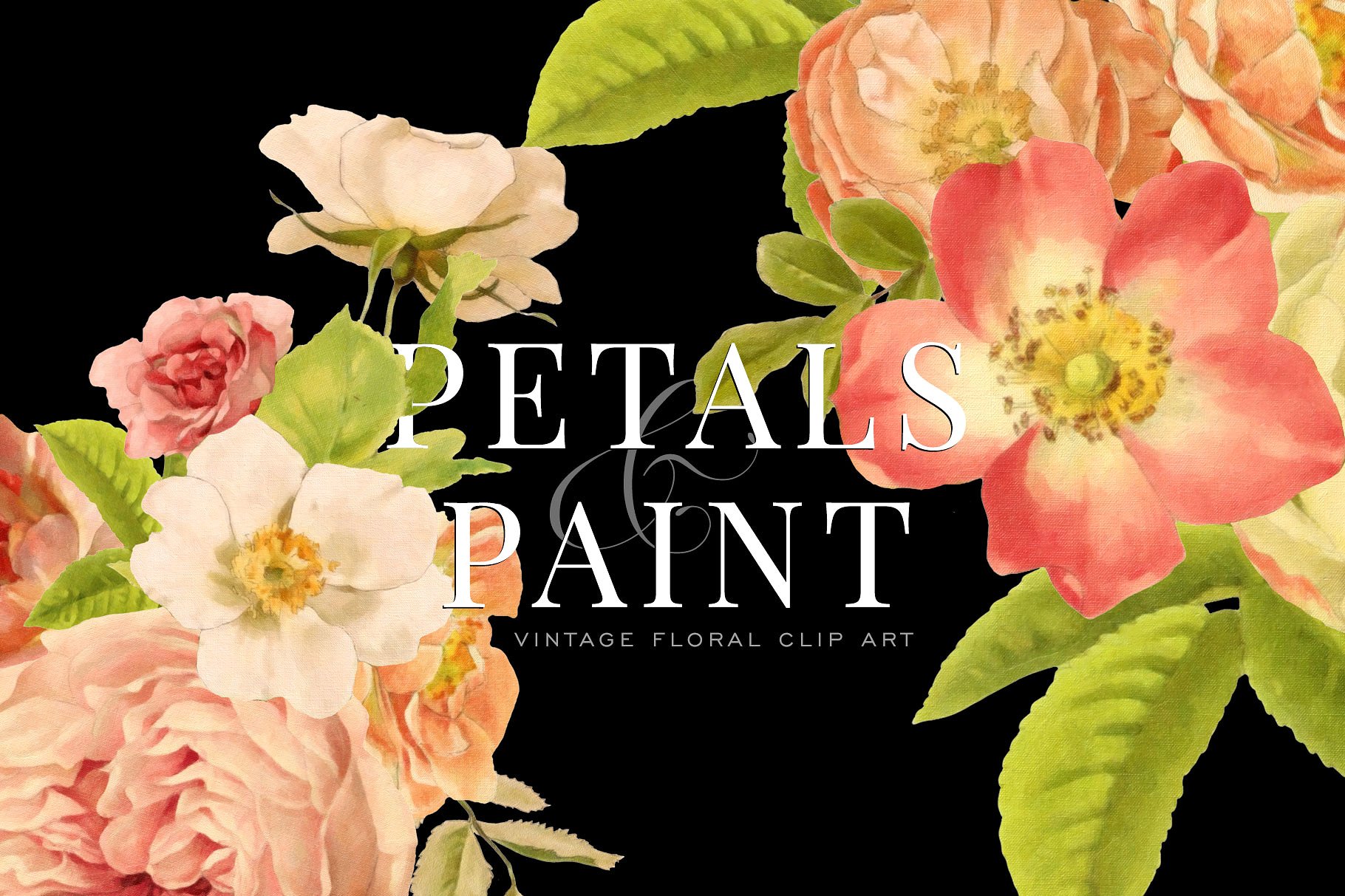 复古油画质感花卉花瓣纹理 Petals & Paint – Floral Clip Art插图(1)