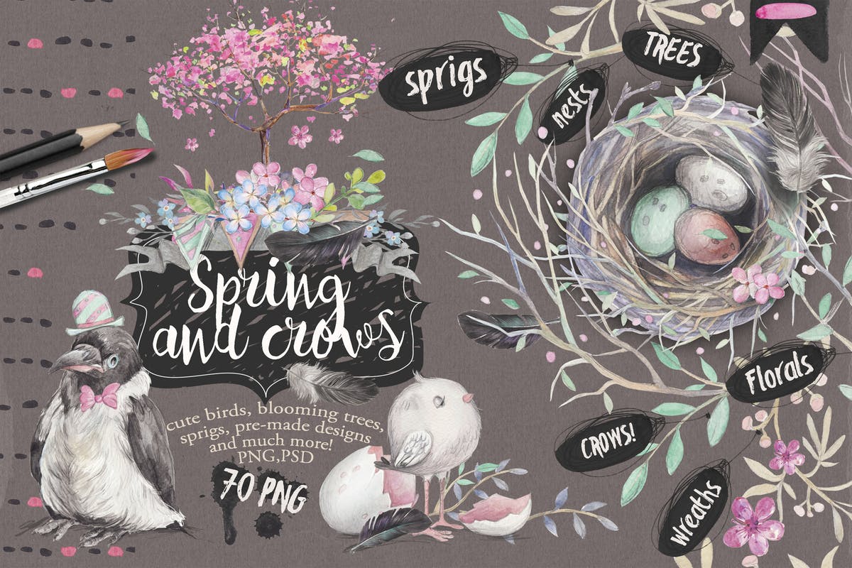 “春天与乌鸦”水彩插画元素合集 “Spring & crows” bundle插图