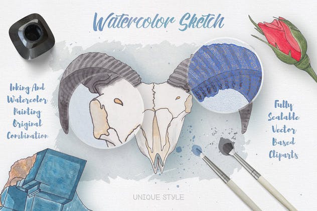 生物系列水彩手绘插画合集Vol.1 Watercolor Creatures vol. 1插图(1)