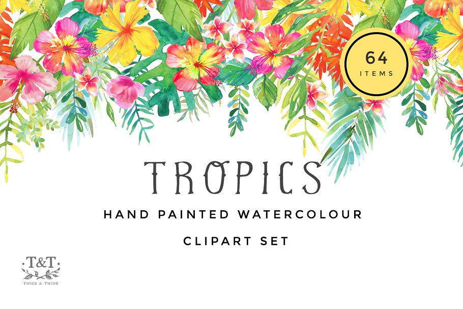 火烈鸟/热带植物水彩素材 Watercolour Clipart Set – Tropics插图(8)