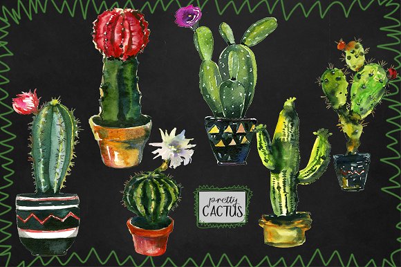 仙人掌水彩剪贴画 Pretty Cactus Watercolor Clipart Set插图(1)