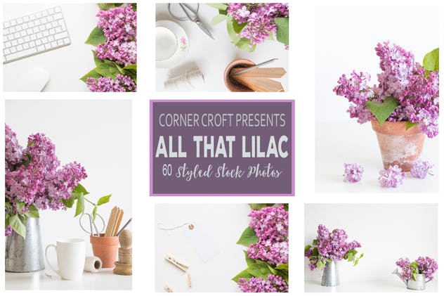 紫丁香花装饰场景背景照片 Lilac Styled Stock Photo Bundle插图(2)