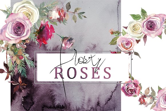 霜白玫瑰花水彩画设计素材 Frosty Roses Watercolor Flowers Set插图(10)