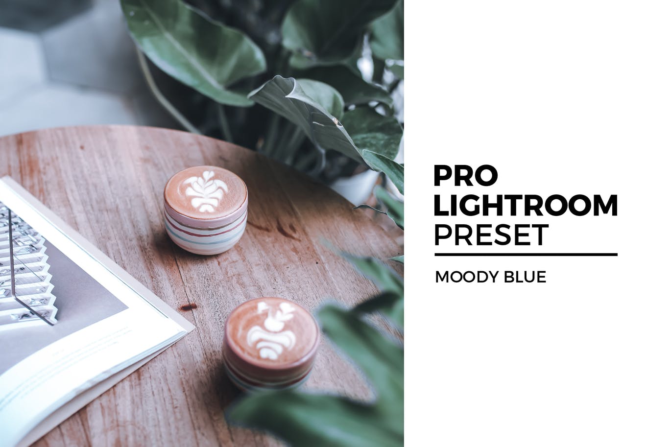 优雅蓝照片后期调色LR预设 Moody Blue Lightroom Preset插图