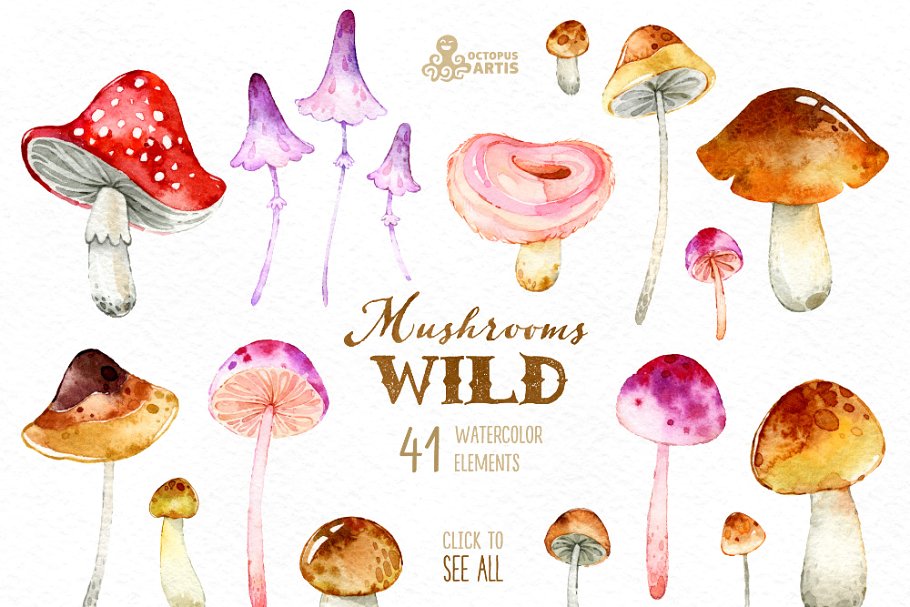 野生蘑菇森林元素素材集 Wild Mushrooms. Forest Collection插图(1)