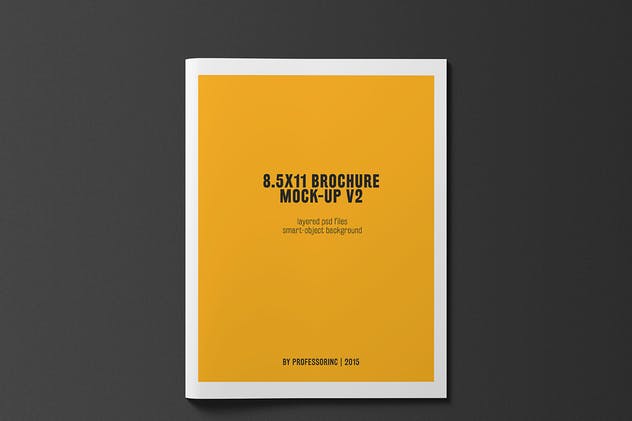 企业商务画册/目录样机 8.5×11 Brochure / Catalogue Mock-up插图(2)
