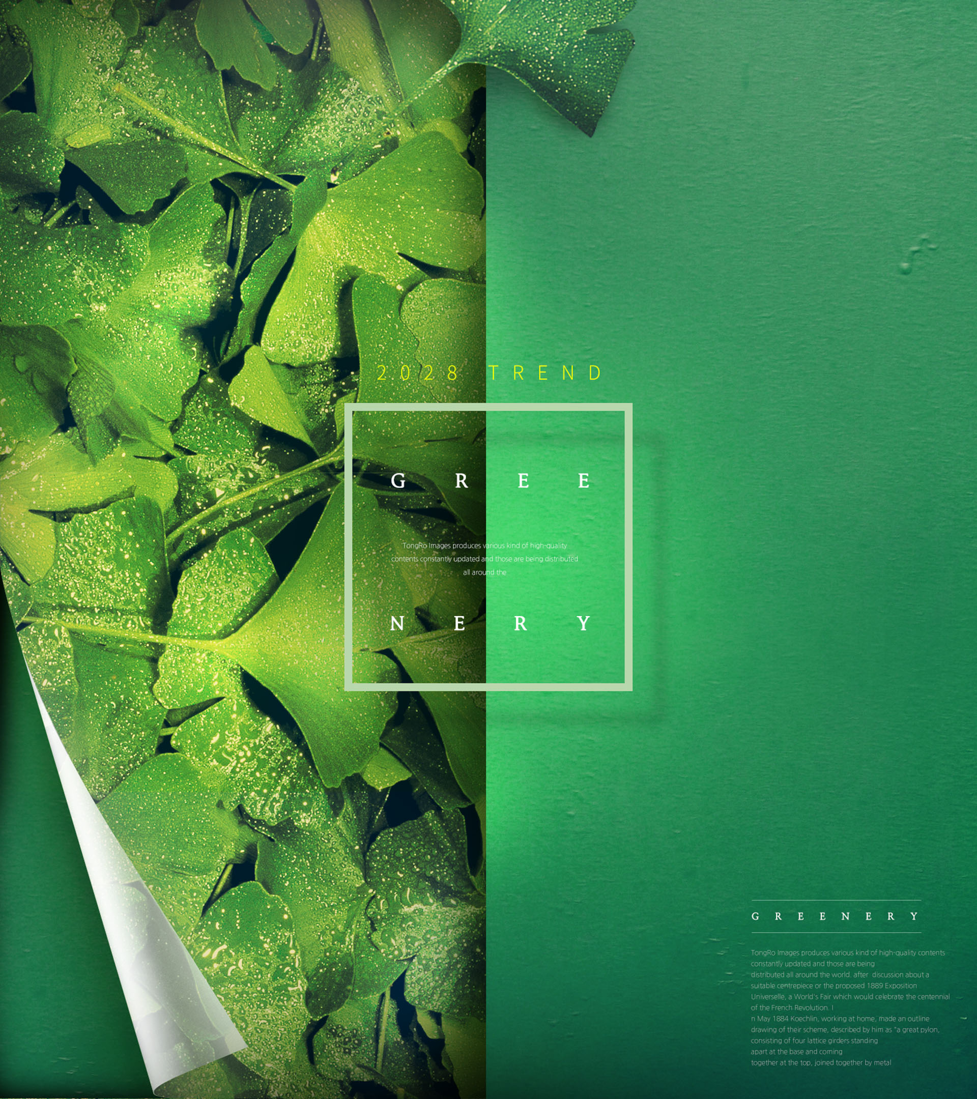 春夏绿色主题海报模板PSD下载插图(7)
