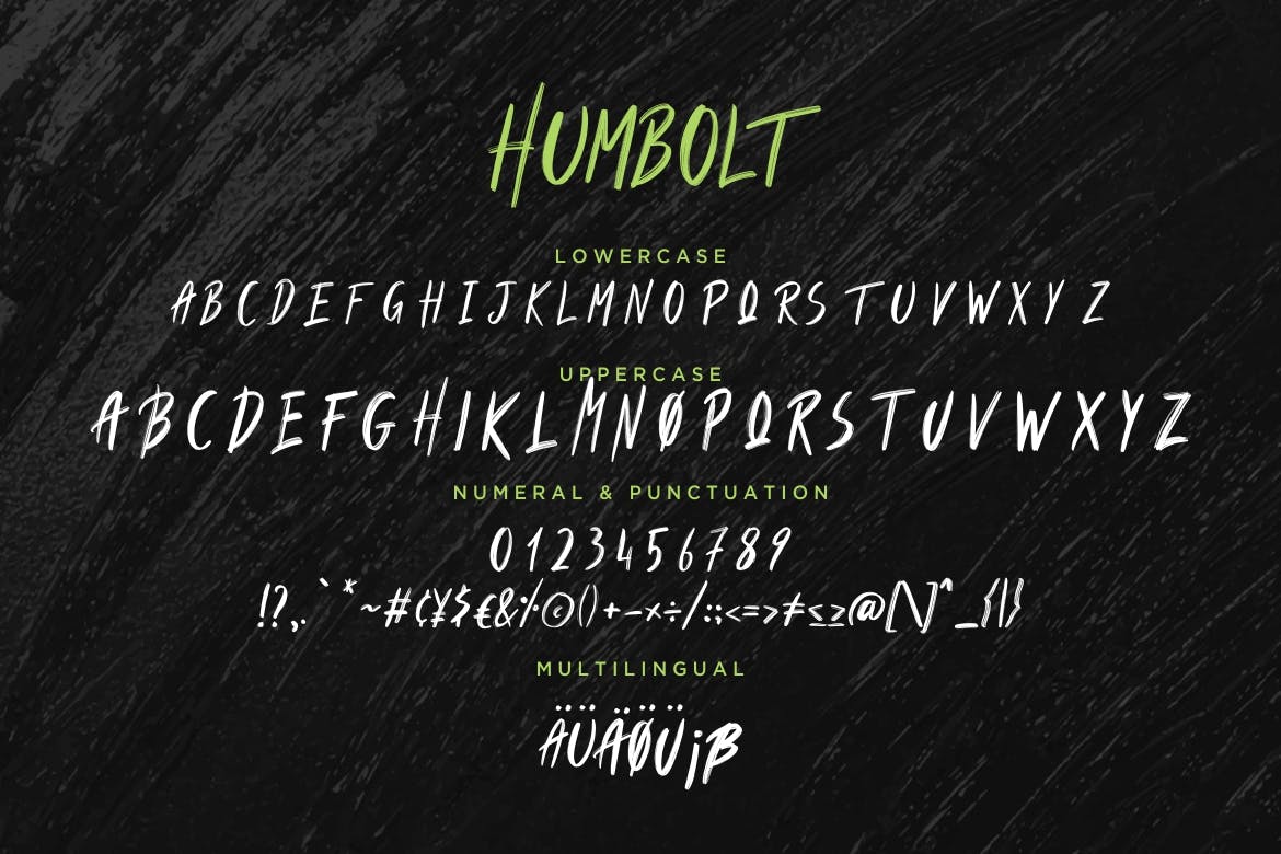 大胆阳刚风格英文手绘画笔字体 Humbolt Brush Typeface插图(6)