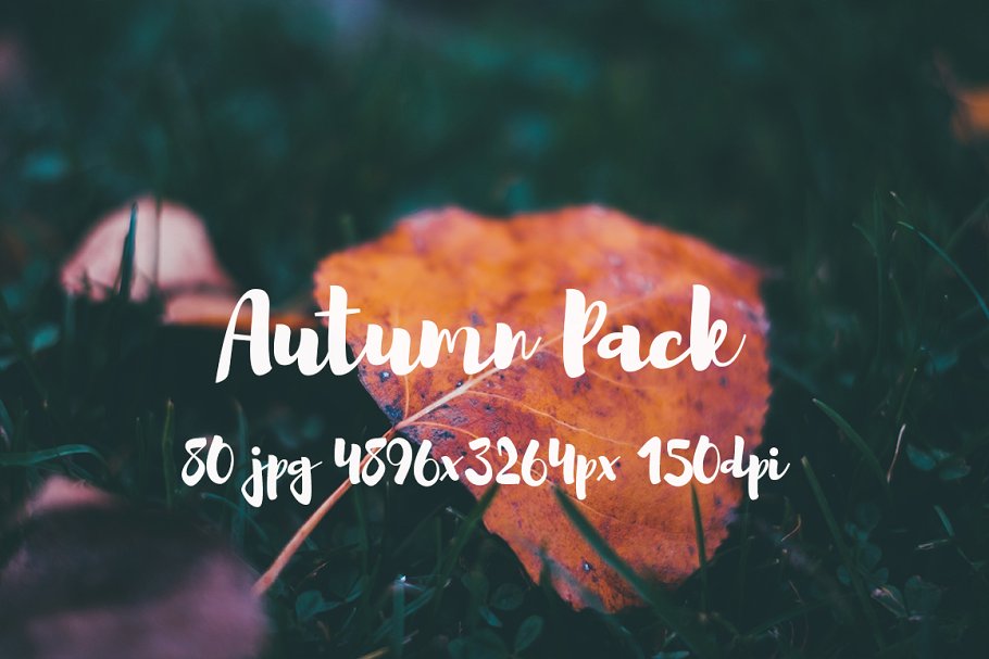 秋天主题高清风景照片素材 Autumn photo Pack插图(9)