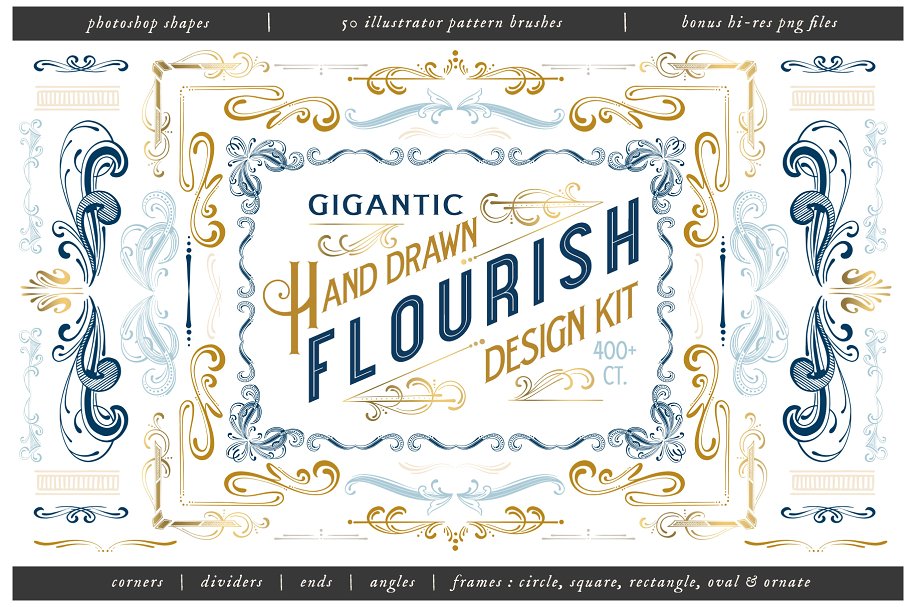 手绘花纹设计套件（400 +花卉设计元素） Hand Drawn Flourish Design Kit插图
