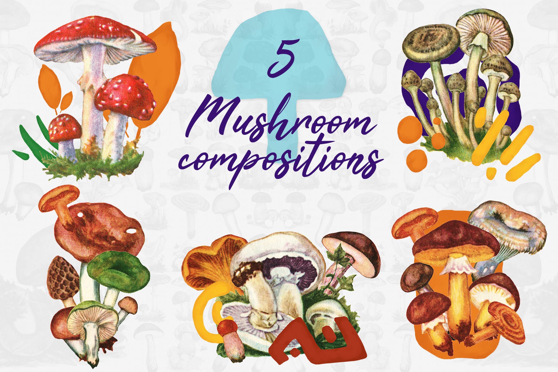 5款蘑菇手绘矢量插画PNG图片素材 5 Mushroom Compositions插图