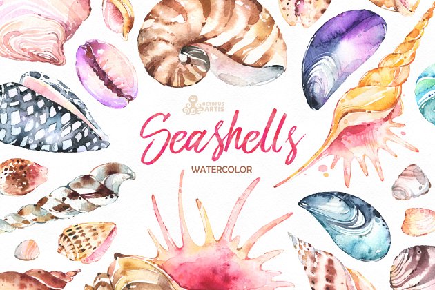 奇形怪状的贝壳水彩画素材集合 Seashells. Watercolor collection插图
