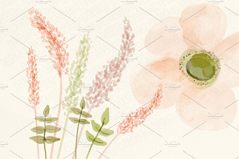 牡丹&朱丽叶玫瑰水彩画设计素材 Watercolor peonies, juliet roses插图(2)