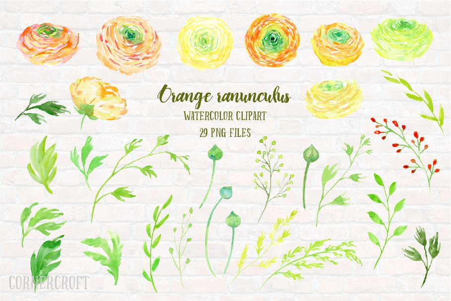 橙色水彩毛茛花卉剪贴画素材集 Watercolor Clipart Orange Ranunculus插图(1)