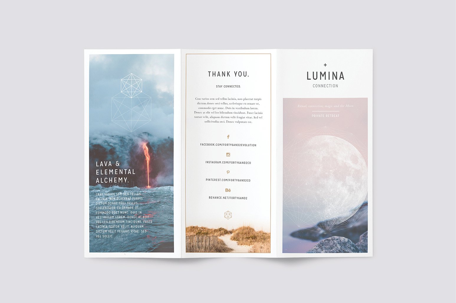 简约现代三折页小册子模板 LUMINA Trifold Brochure插图