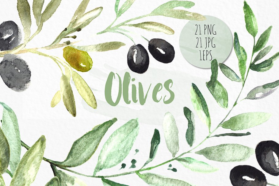 橄榄枝水彩剪贴画 Olives. Watercolor illustrations插图