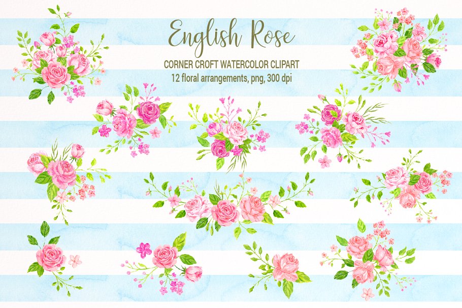 美丽浪漫的英国传统玫瑰剪贴画合集 Watercolor English Rose Clipart插图(2)