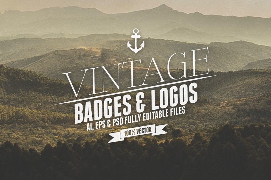 复古风格徽标&Logo设计模板v3 Vintage Badges & Logos Vol.3插图
