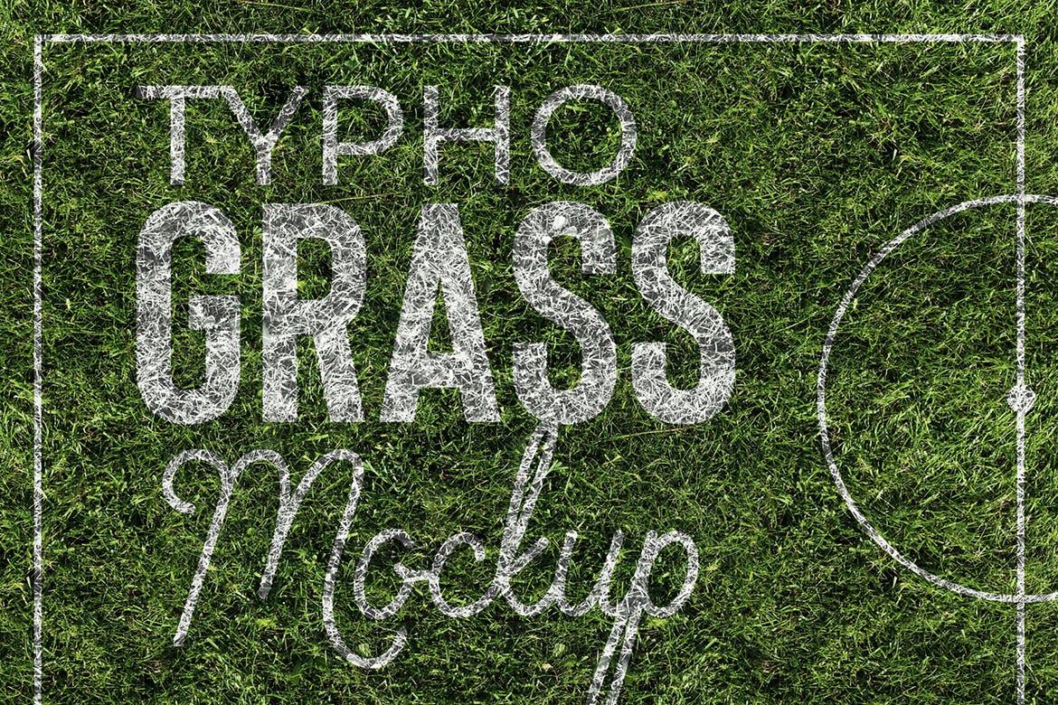 草坪草地质感纸张样机模板 Grass Mockup插图