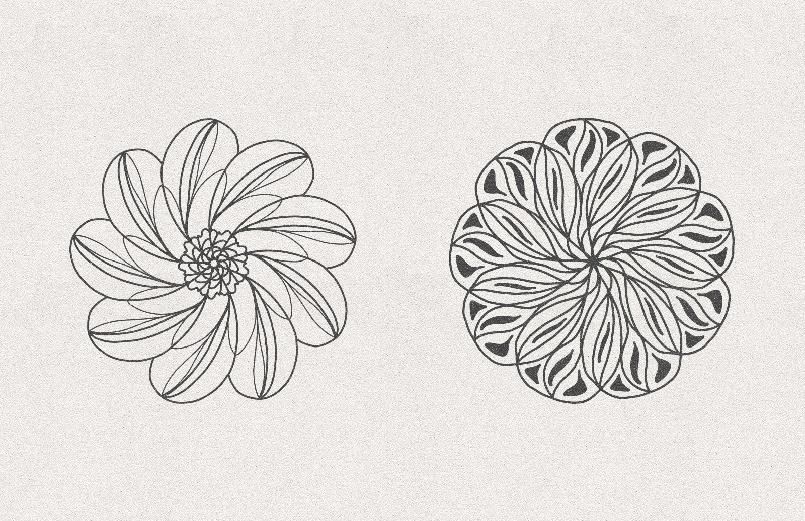 矢量花卉素材 Vector Floral Radial Illustrations [AI, SVG]插图(2)