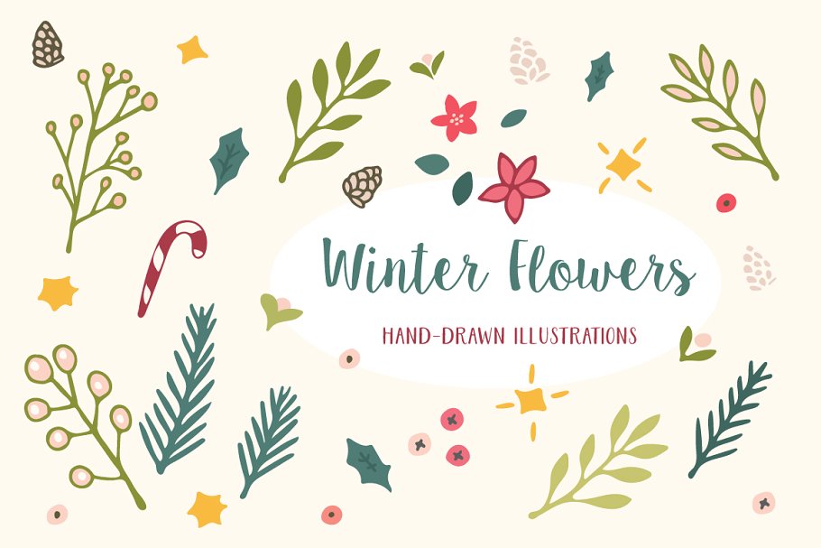 冬天圣诞节节日主题花卉图案纹理 Winter Flowers Christmas Patterns插图(4)