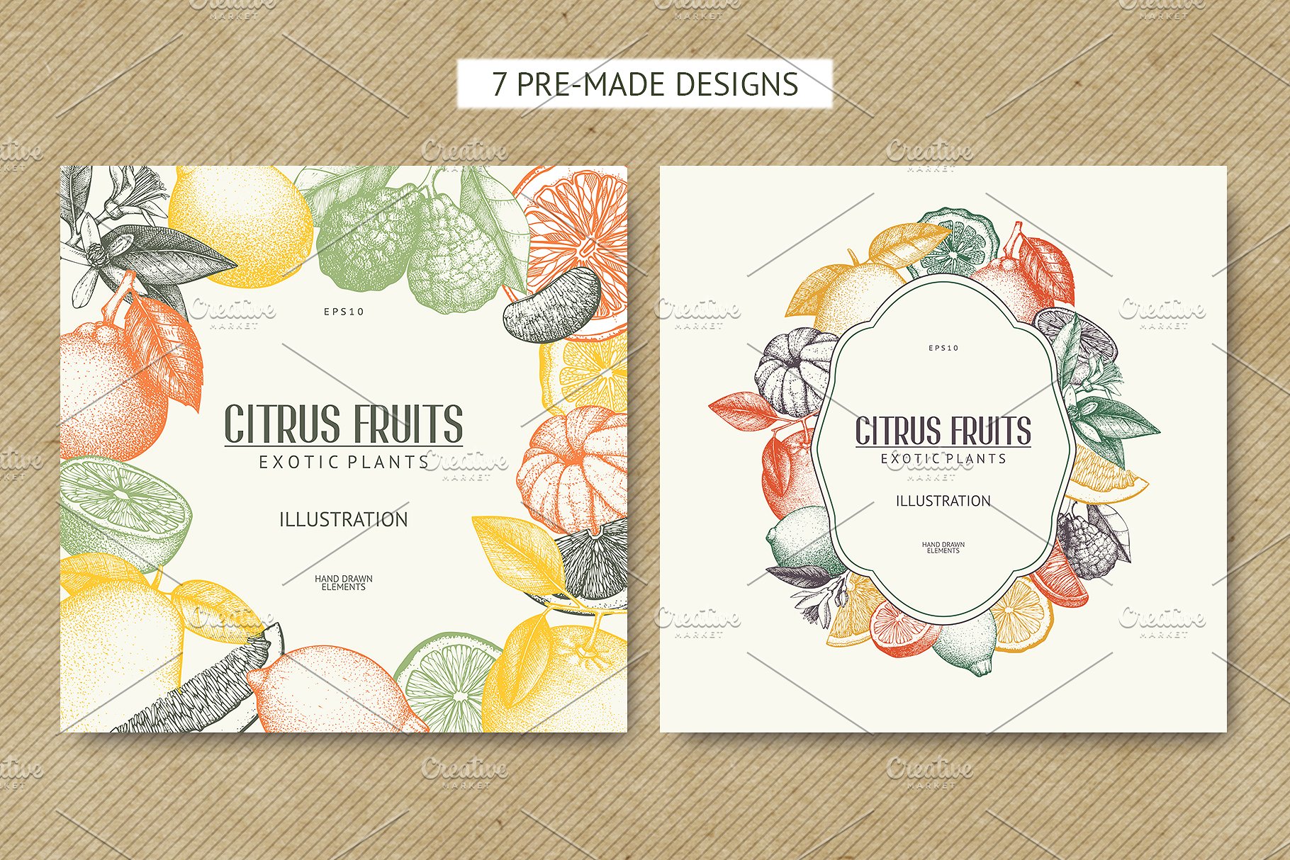 矢量柑橘水果插图 Vector Citrus Fruits Illustrations插图(2)