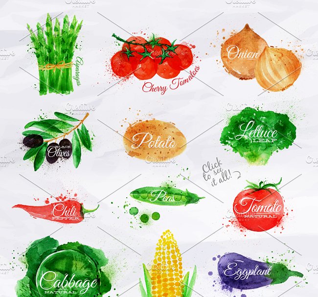 常见蔬菜水彩剪切画素材包 Vegetables Watercolor插图(6)
