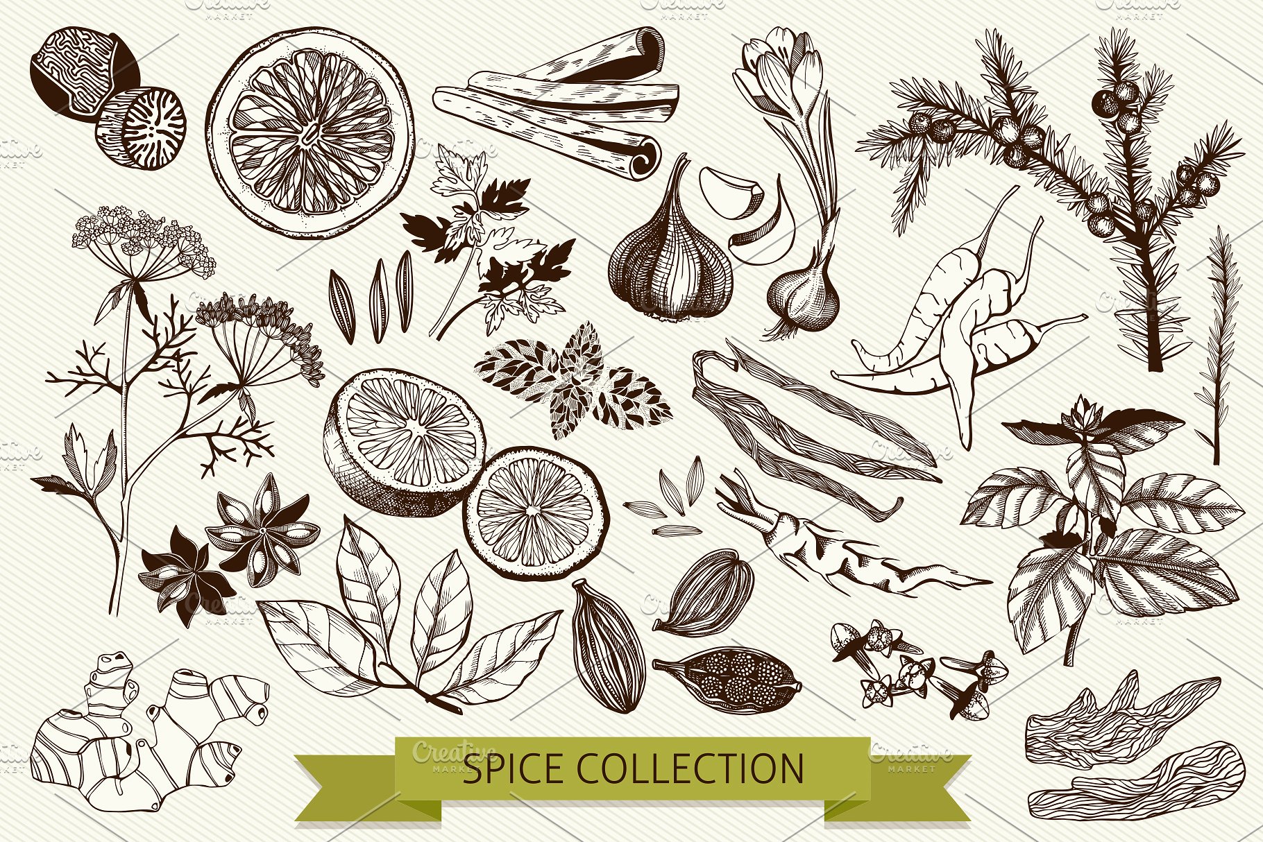 厨房香料及香草矢量插画 Vector Kitchen Spice & Herbs Set插图(1)