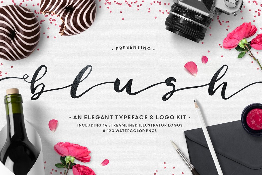 英文草书字体&手绘水彩纹理/Logo模板 Blush Typeface + Logo Kit (AI)插图