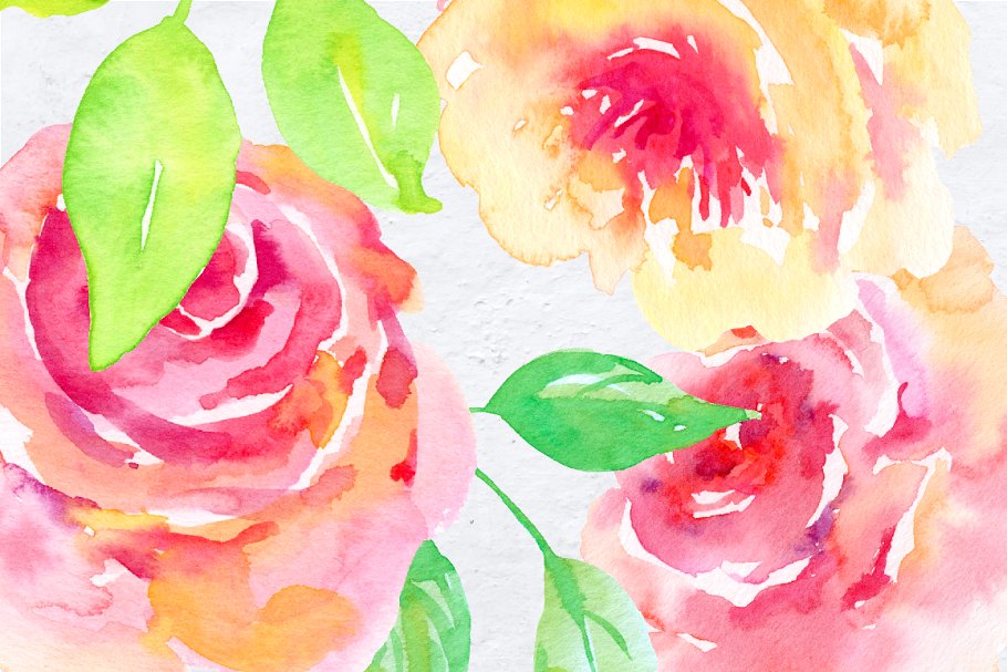水彩手绘腮红粉装饰花卉元素 Watercolor Design Kit Rosy插图(4)